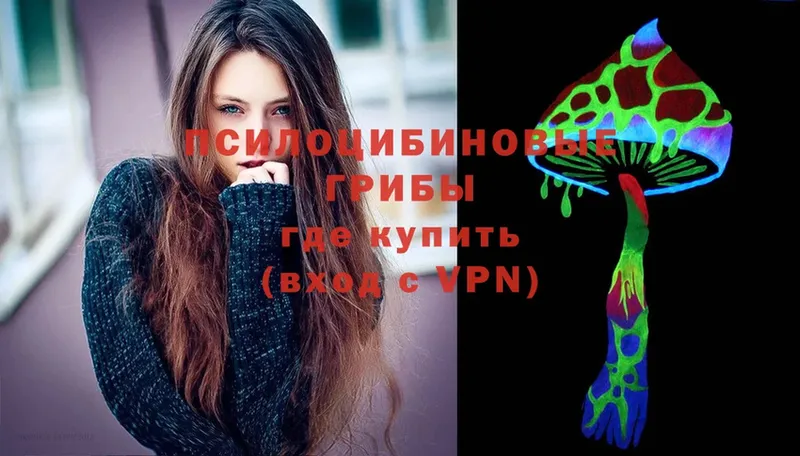 Псилоцибиновые грибы Psilocybine cubensis  где можно купить   Липки 